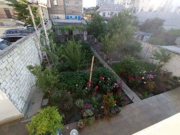 hovuzlu evler baki: 7 otaqlı, 335 kv. m, Orta təmir — 18