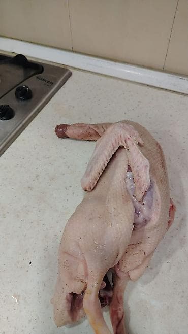 Ləpələr: Tam təmizlənmiş ördək – bütöv kilosu 10 manata . 1 ördəyin ortalama — 3