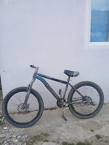 velosiped rol: Strim velosipedi. Gündəlik sürülən velosipeddi sadəcə tormuz — 2