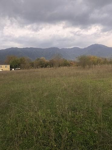 barter kupca: 35000 sot, Kənd təsərrüfatı, Kupça (Çıxarış) — 2