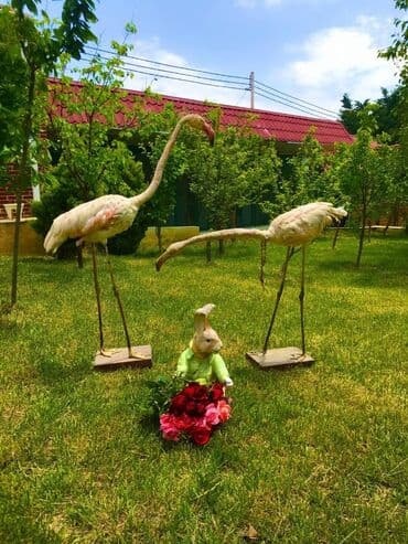 kirayə restoran: 299 kv. m, 4 otaqlı, Hovuzlu, Kombi, Kanalizasiya — 7