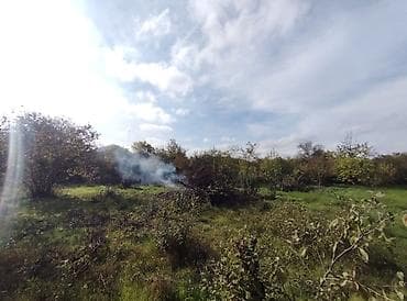 lalafo ev elanlari: 3 sot, Kupça (Çıxarış) — 5