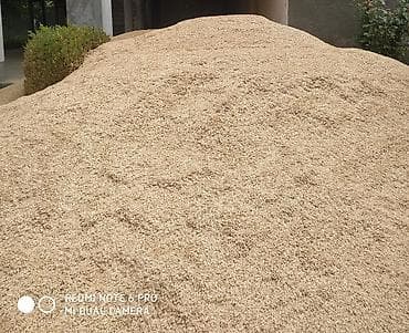 Məhəccərlər: Rəng - Sarı Digər təyinat Qum — 1