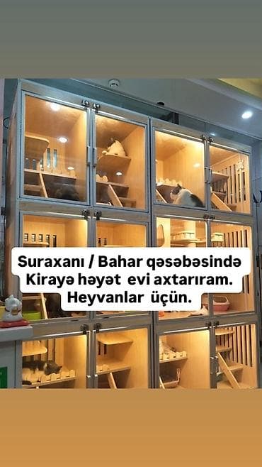 pers: Suraxanı, Bahar qəsəbəsində heyvanlar üçün kirayə, Əşyasız həyət evi — 1