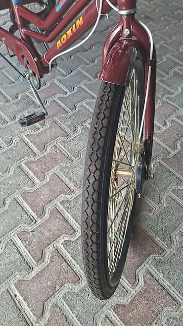 stels navigator 930: Yükdaşıma üçtəkərli velosiped – Aoxin/AXP - Rəng: tünd bordo (korpus — 3