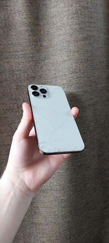 iphone 13 dubai: IPhone 13 Pro Max, 256 GB, Matte Gold — 1
