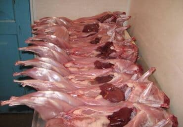 hinduşqa əti: Dovşan əti satilir. 1-kg=12 azn, sağlam və təmiz dovşanlardir. Xaiş — 2