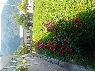 montinde heyet evleri: 4 otaqlı, 1000 kv. m, Kredit yoxdur, Yeni təmirli — 6