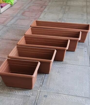 Digər bitkilər: Dibçək. Müxtəlif ölçü və modellər mövcuddur. Fərqli qiymətlərdədir — 8