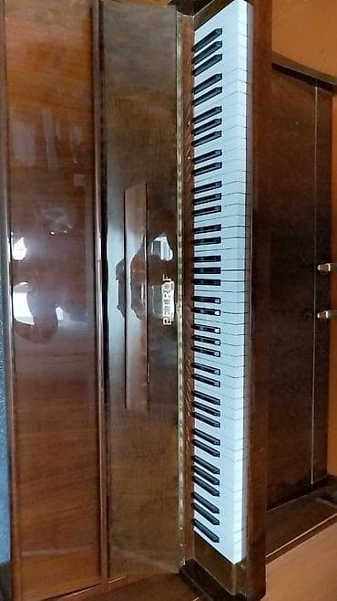 Piano, Petrof, Akustik, Yeni — 4