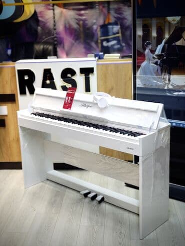электронное пианино: Пианино, Цифровой, Новый, Самовывоз — 3