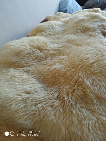 sebeke dekor: Мерино длинна 1,20 длинна шерсти 5-6 см куплен в Германии есть — 6