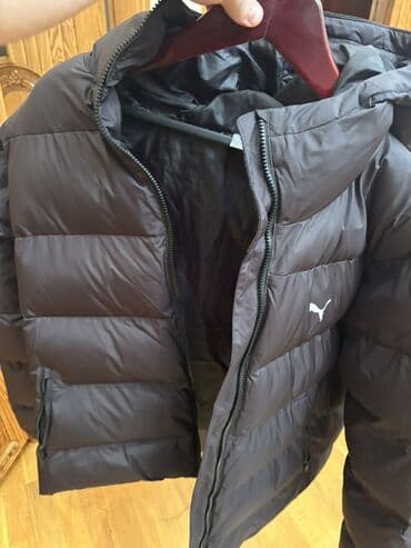 Головные уборы: Мужская куртка, Болонка, Зимняя, Puma, XL — 1