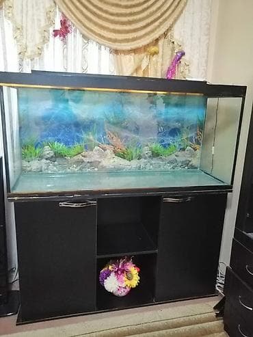 Böyük ölçülü akvarium və alt dolabı - Şüşə akvarium: ön/yanları