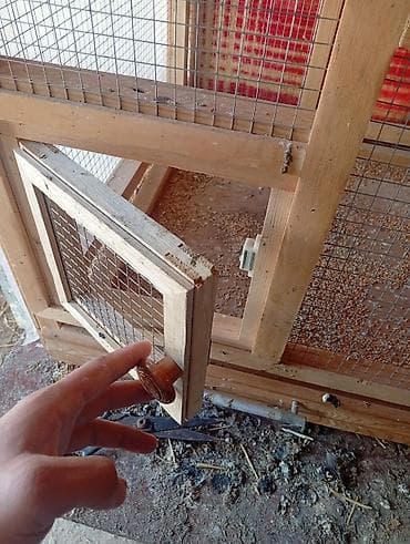 quslar: Taxta quş qəfəsi/volyer - Material: möhkəm taxta karkas, xırda gözlü — 3