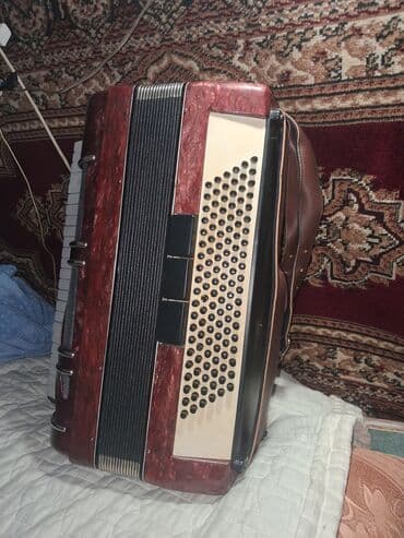 azerbaycan dili 8 ci sinif derslik: Akustik Akkordeon — 2