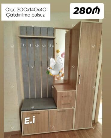 fab fasad boyalari: Yeni, Dəhliz dolabı — 1