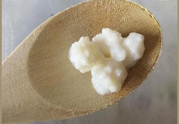 yun palaz: İSTEYEN . VASSAPA VE YA BURAYA YAZSİN .Kefir dənələri – evdə kefir — 2
