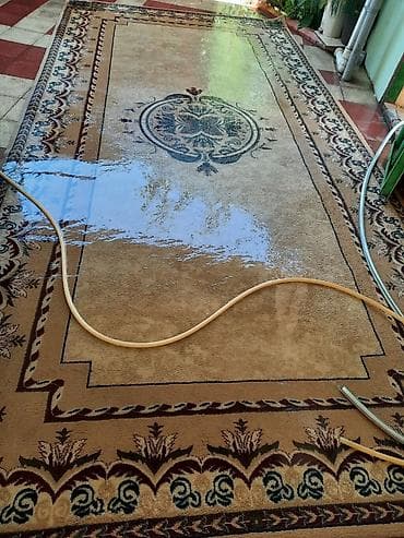 isdenmis xalcalar: Xalça — 2