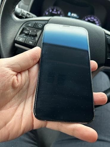 16 pro max qiymet: IPhone 13 Pro Max, 128 GB, Sierra Blue, Barmaq izi, Simsiz şarj, Face ID — 2