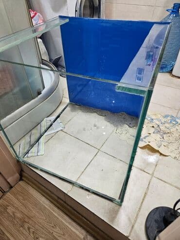 akvarium filter: Şüşə akvarium – kvadrat formalı - Material: qalın şüşə, şəffaf - — 2