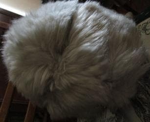 баку седерек шубы: Шапка меховая светло-серая. Цена 9 манатов — 1