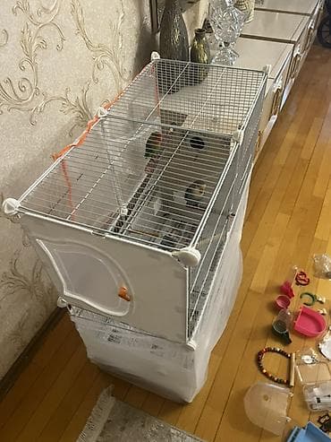 sultan quşu: Quş qəfəsi və aksesuarlar dəsti Məhsul təsviri: - Metal çərçivəli — 5