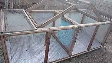 qax heyvan bazar: Salam Buyurub isteyen Elqe saxlasin Fanarkadan Hazirlanmayib Tam özune — 1