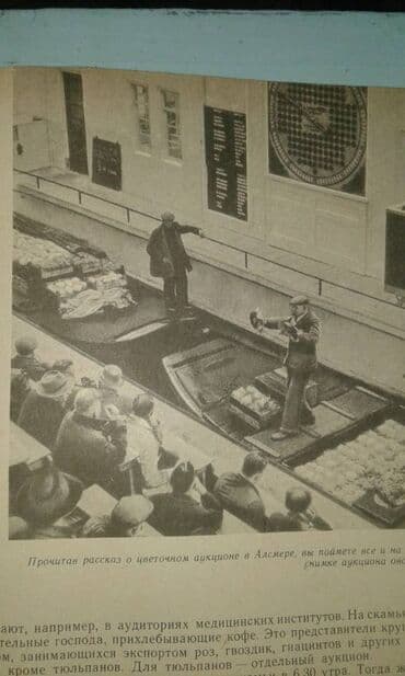 60 min dollar nece manatdir: Разные книги: "Страна странностей" 40 манат "Стокгольм" 40 манат — 8