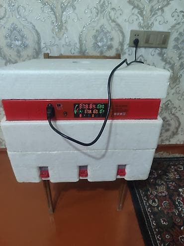 inkubator 2020: Azərbaycan, Fabrik istehsalı, Tam avtomat, Bütün növ quşlaq üçün — 1