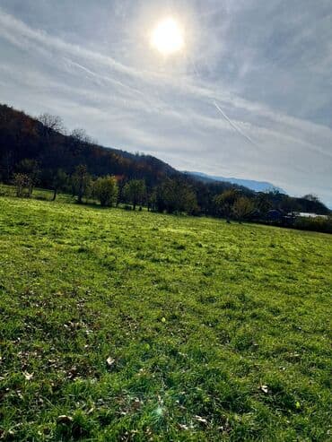 ecemi kiraye ev: 18 sot, Biznes üçün, Kupça (Çıxarış) — 8