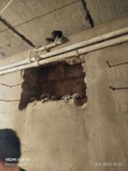 ikinci əl seyf qapi: Beton işləri — 11