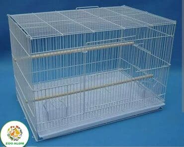 большая клетка для попугая: Tutuquşu qəfəsi. Qəfəs valyer (arakəsməsiz) Qəfəsin ölçüsü 60sm eni — 3