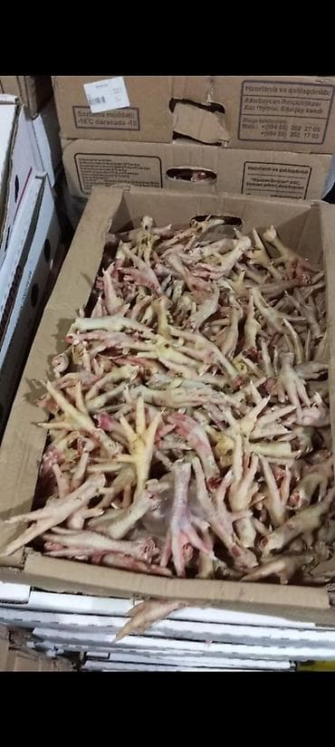 pul qab: It yemi toyuq ayağı təzədir hərgün olur hərcins itlər rahat yeyir — 4