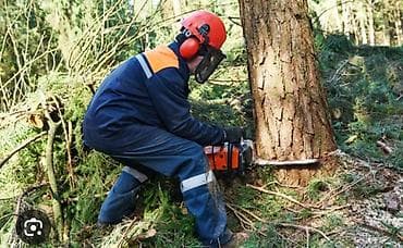 su filteri ustasi: Ağac kesmek budamaq işləri görülür.🪚 Kotukleri səliqəli dogramaq qol — 7