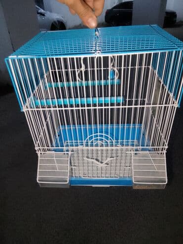 sumqayit qəfəs: Quş qəfəsi – metal konstruksiya, mavi-ağ rəngdə - Düzbucaqlı forma — 4