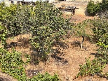 sahil qəsəbəsində evlər: Bağ evi – geniş həyət və teraslı - İki mərtəbəli ev, açıq eyvan və — 13