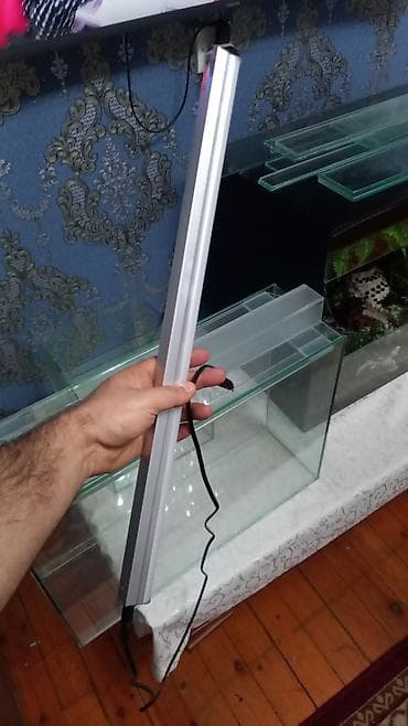 heyvanlar atlar: Şüşə akvarium dəsti - Şəffaf, düz kənarlı şüşədən hazırlanmış — 3