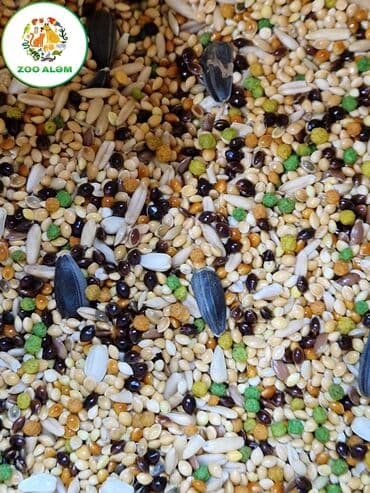 en ucuz uc: Tutuquşu yemi.(papuqay yemi) Yüksək keyfiyyətli tutuquşu yemini sizə — 6