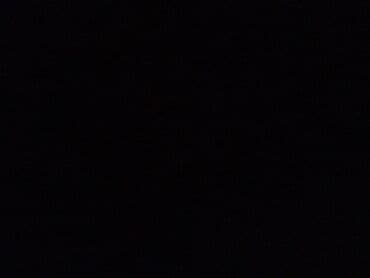 Pişik sahiblənmək isdəyirəm oynağan və uşaqlara bağlı olan bir pişik