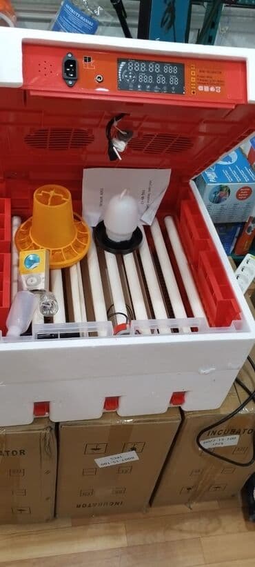qirqovul satilir: Inkubator inkubatorlarin birinci əl satişi unversal inkubator — 3