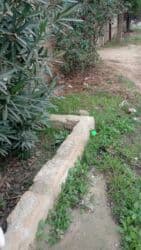 qemervan kiraye evler: 5 sot, Kənd təsərrüfatı, Mülkiyyətçi, Kupça (Çıxarış), Bələdiyyə — 4