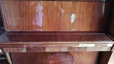 qarin ve bel piylerini eritmek: Fikri ciddi olmayanlar narahat etmesin! — 1