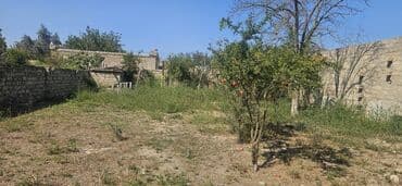 5 sot, Tikinti, Mülkiyyətçi, Kupça (Çıxarış)