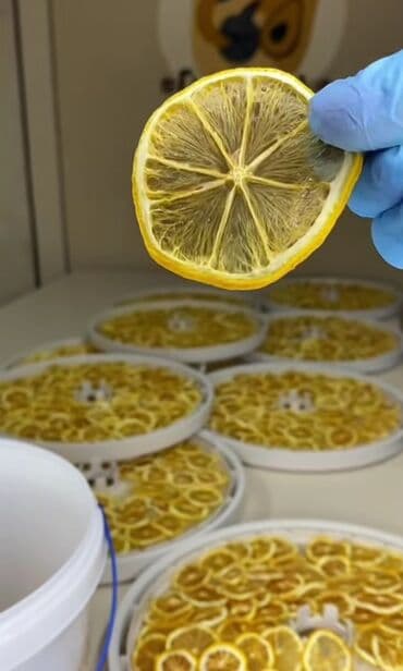 Готовые блюда, кулинария: Təbii və qatqısız qurudulmuş meyvə dilimləri. 1) Banan 100qr 7m 2) — 2