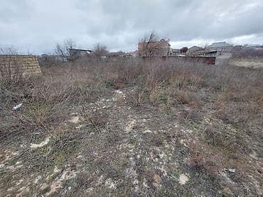 sumqayıtda: 22 sot, Kupça (Çıxarış) — 6