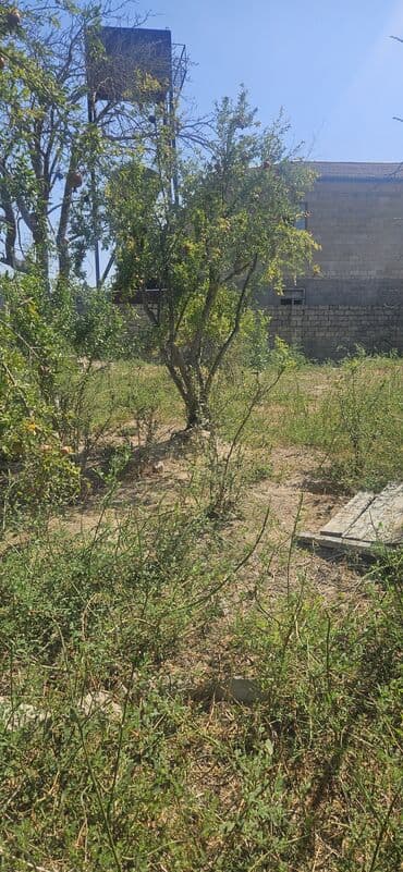 купить дом в амираджанах: 5 соток, Для строительства, Собственник, Купчая — 2