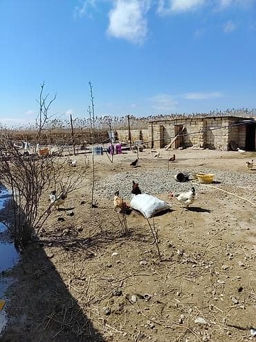 razin heyet evi: 100 kv. m, 4 otaqlı, İşıq — 5