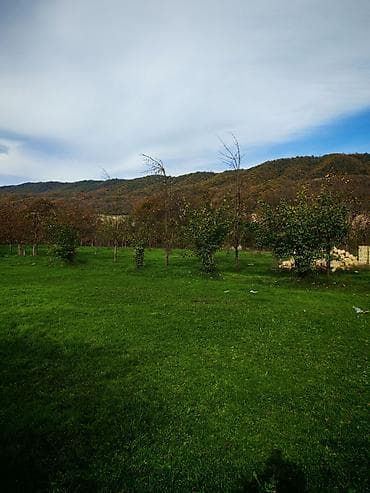 zaqatalada satilan evler: Kənd təsərrüfatı — 2