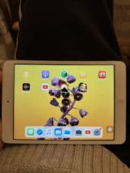 Ipad mini 2 ❗️batareyasinda problem var, demek olar yanmir. yanannan